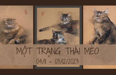 Chu Tiến Thăng gây ấn tượng với triển lãm cá nhân đầu tay "Một trạng thái mèo"