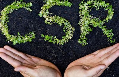 Tại sao doanh nghiệp nên xem CSR như một khoản đầu tư?