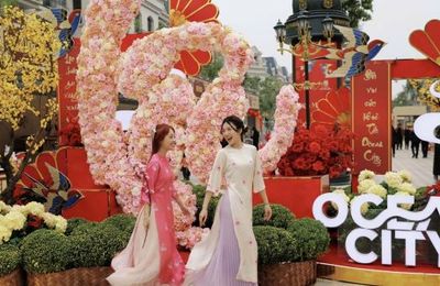 Ocean City tổ chức Lễ hội và cuộc thi đèn lồng quốc tế