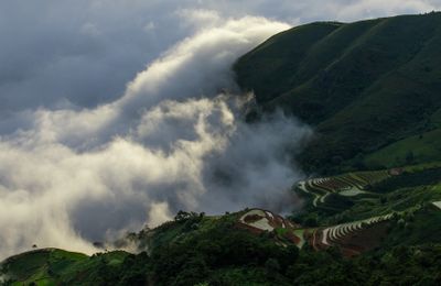 Tà Xùa-Núi rừng hùng vĩ trong làn mây khói
