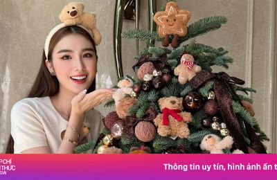 Dùng bộ Labubu, Molly 60 triệu đồng để treo cây thông Noel