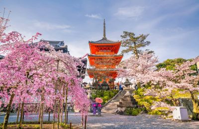 Vi vu tour Nhật Bản mùa xuân 5N5Đ – Vui trọn chuyến đi đầu năm