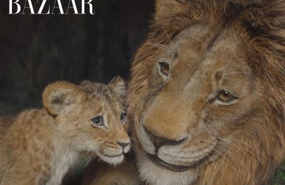 Phim hoạt hình Mufasa: Vua Sư Tử chân thật trong từng khung hình