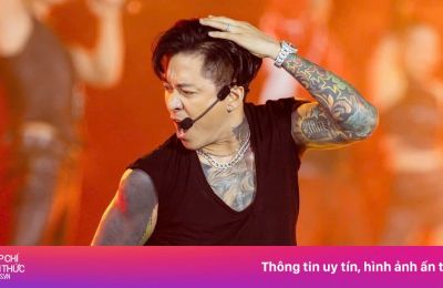 Nghệ sĩ nhận cát-xê ra sao từ các concert thu hàng trăm tỷ đồng?