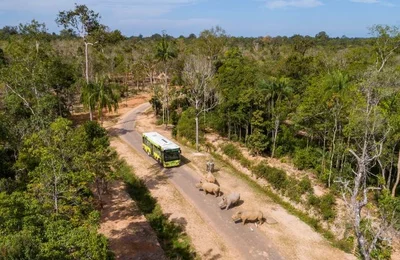 Vinpearl Safari Phú Quốc lọt top đầu vườn thú và thủy cung tại Châu Á