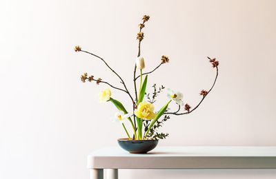 Nghệ thuật cắm hoa Ikebana: Khúc giao hòa giữa thiên nhiên và con người
