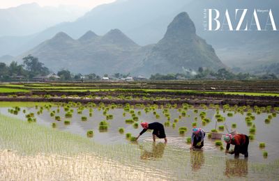 Du lịch Lai Châu mùa nào đẹp nhất trong năm?