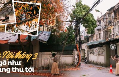 Chẳng ngờ sau một đêm ngủ say mà Hà Nội đã "khoác màu áo mới", đẹp đến nao lòng