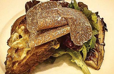 Nấm Truffle là gì và vì sao món ăn này đắt hơn vàng?