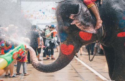 Trải nghiệm niềm vui giật gân: Lễ hội té nước Songkran 2024 ở Thái Lan