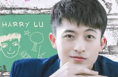 Cuộc sống sau biến cố của Harry Lu hiện giờ ra sao?