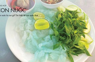 Con nuốc là con gì? Tìm hiểu về con nuốc Huế