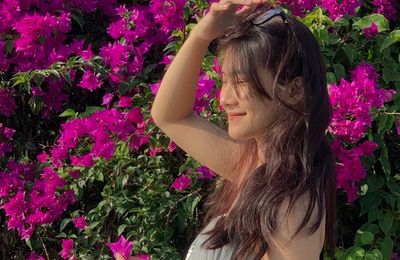 Giới trẻ Đà Nẵng “phát sốt” với mùa hoa giấy nở dọc bờ sông Hàn