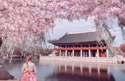 Cách tham quan 5 cung điện nổi tiếng ở Seoul miễn phí