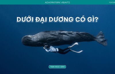 Từ Maldives đến Madagascar: Vạn dặm dưới đáy đại dương