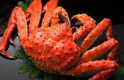 Mê cua hoàng đế, bạn có biết người đưa chúng về Việt Nam?