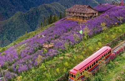 Các địa điểm du lịch tránh nóng vào mùa hè tại Việt Nam