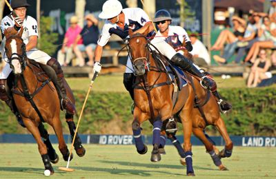 Polo thú chơi quý tộc của giới thượng lưu