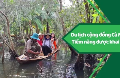 Du lịch cộng đồng Cà Mau - Tiềm năng được khai mở