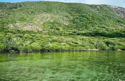 Dừng chân ở Côn Đảo, du khách ‘mê’ cách làm du lịch xanh - sạch - bền vững