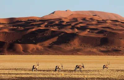 Mạo hiểm kiểu thượng lưu: Kỳ 2 - Đến sa mạc Namibia cùng andBeyond