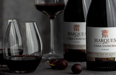 Marques de Casa Concha: Khám phá goût kết hợp vang đỏ cùng thịt bò