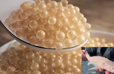 Trứng cá tầm bạch tạng có gì đặc biệt mà lên đến 2,2 tỷ đồng/kg?