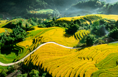 Những điểm đến du lịch xanh tuyệt đẹp ở Việt Nam