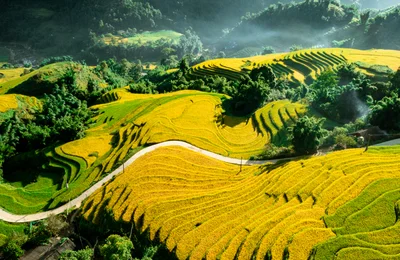 Những điểm đến du lịch xanh tuyệt đẹp ở Việt Nam