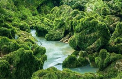 Thế giới kỳ vĩ bên trong hang động Hung Thoòng, Quảng Bình