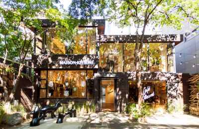 Từ Dior Café by Pierre Hermé cho đến Beige Alain Ducasse: Những nhà hàng cafe dành cho giới mộ điệu