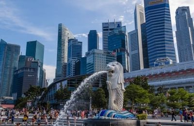 Ẩm thực chay Singapore: Cảm nhận tinh hoa ẩm thực từ Đảo quốc sư tử