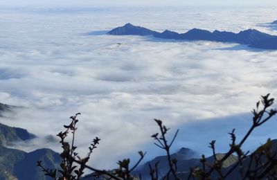 Chinh phục biển mây Ky Quan San, ngắm hoa đỗ quyên rừng