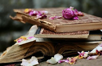 Top 5 cuốn sách về nước hoa cực hay dành cho các tín đồ mùi hương
