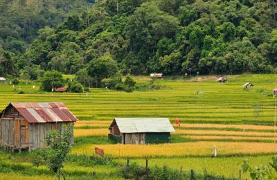 Khám phá "Đà Lạt thứ 2 của Tây Nguyên" trong ngày hè rộn ràng và đầy màu sắc