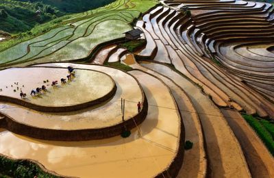 Kỳ quan "đường lên trời" vào mùa nước đổ ở Mù Cang Chải