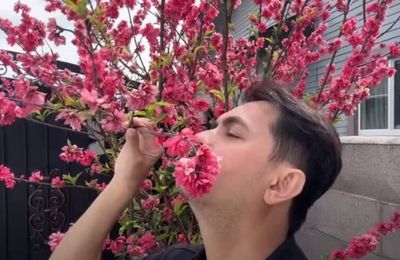 Căn nhà 16 tỷ của diễn viên Đức Tiến tại Mỹ trước khi qua đời