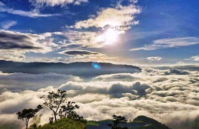 Hè này đi Quảng Ngãi săn mây