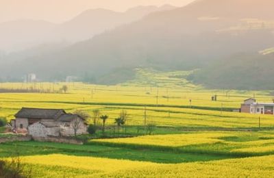 Trung Quốc: Du khách không với điểm đến nổi tiếng, “đổ xô” về những vùng quê thanh bình