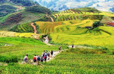 Du lịch Sapa: đi đâu, ăn gì để không bỏ lỡ những khoảnh khắc đẹp nhất !