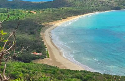 Tôi đến Côn Đảo xem xác tàu đắm, trekking xuyên rừng