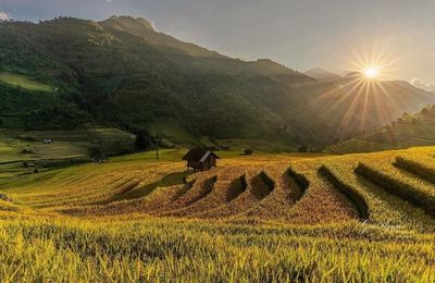 Hè này, về ngôi làng 'Sapa thu nhỏ' ngắm ruộng bậc thang mùa nước đổ đẹp mơ màng