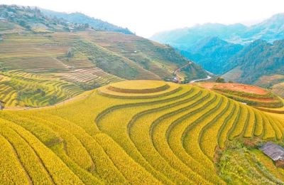 Bật mí tọa độ săn mùa vàng tuyệt đẹp tại dải đất hình chữ S