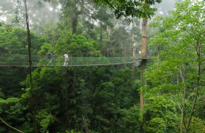 Mùa Hè này, bước vào cuộc phiêu lưu đến những vùng đất mới tại châu Á