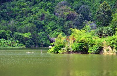 Hè này đi An Giang check in cổng trời, cắm trại bên tuyệt tình cốc