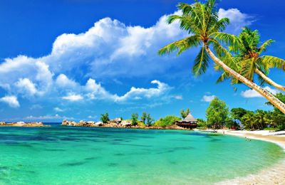 Những điểm lặn biển ngắm san hô đẹp ở Việt Nam