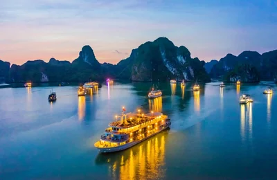 Ai đưa tỷ phú Ấn Độ và 4.500 nhân viên du lịch Việt Nam?