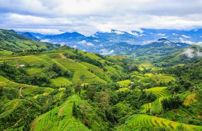 Hà Giang: Mê mẩn ‘bức tranh’ ruộng bậc thang mùa lúa xanh ở Hoàng Su Phì