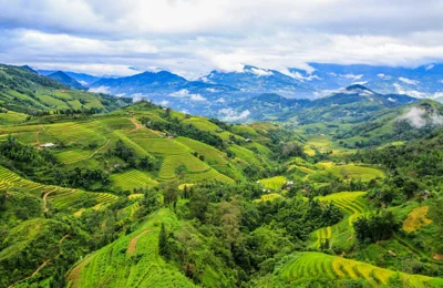 Hà Giang: Mê mẩn ‘bức tranh’ ruộng bậc thang mùa lúa xanh ở Hoàng Su Phì
