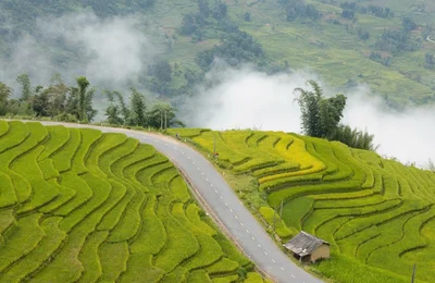 Góc cua "triệu view" phủ vàng mùa lúa chín ở Lào Cai như lạc vào tiên cảnh